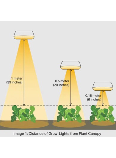 blog Grow Light Distance 500-500